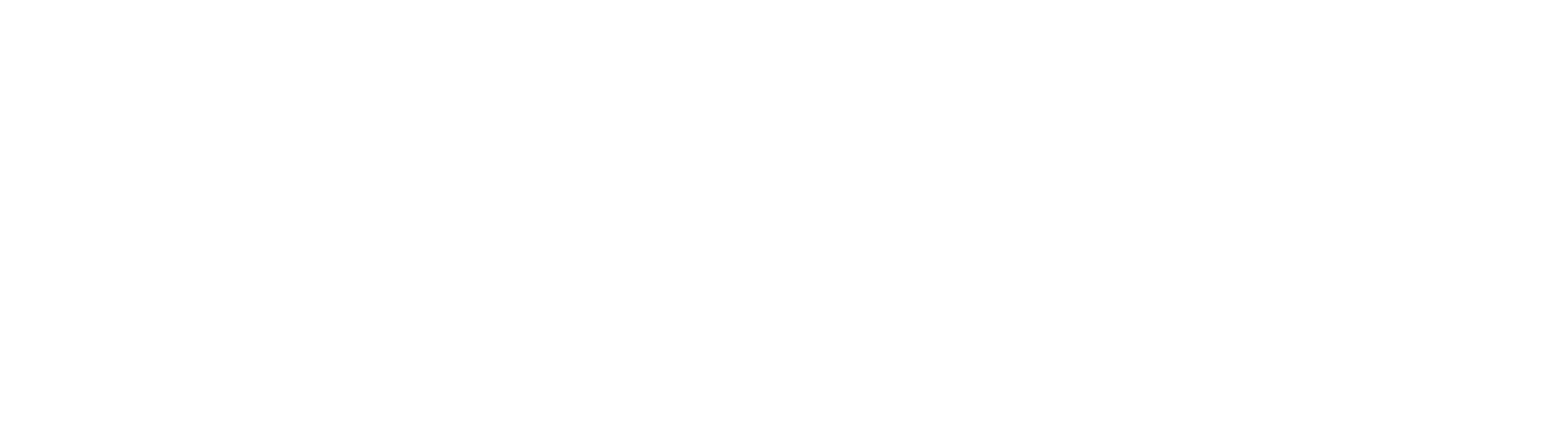 Entiresap - Intensive Training Program